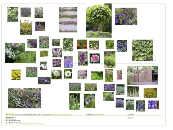 fotos planten jpg Laura en Steve portfolio 2023 kopie