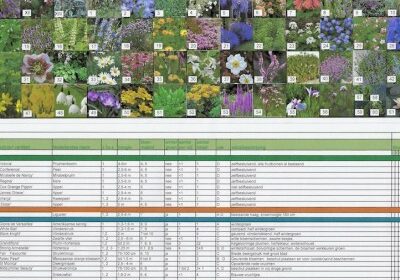 beplantingsplan-overzicht-plantenlijst-pagina1-examen-2019-Petra-Lange-kopie